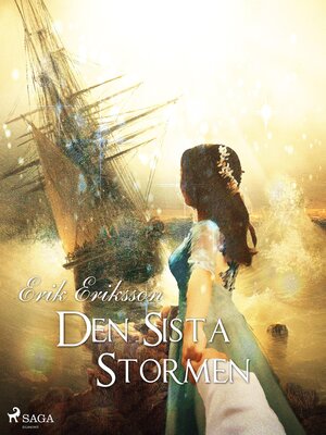 cover image of Den sista stormen